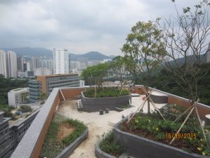 Roof Garden